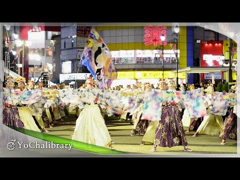 【4K】TINGALA ｜天空しなと屋 しん （東京よさこい’14大賞 駅前メイン）Yosakoi