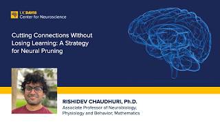 Cutting Connections Without Losing Learning: A Strategy for Neural Pruning