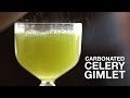 Carbonated Celery Gimlet Cocktail Recipe • ChefSteps