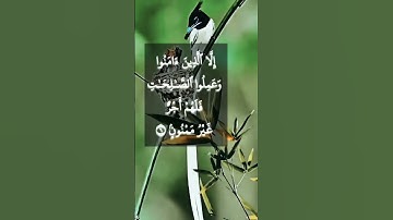 التين و الزيتون 🌿حالات واتس أب قرآن كريم