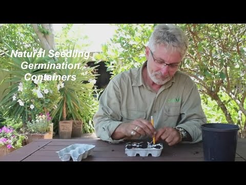 Video: Seedling Containers. Part 1