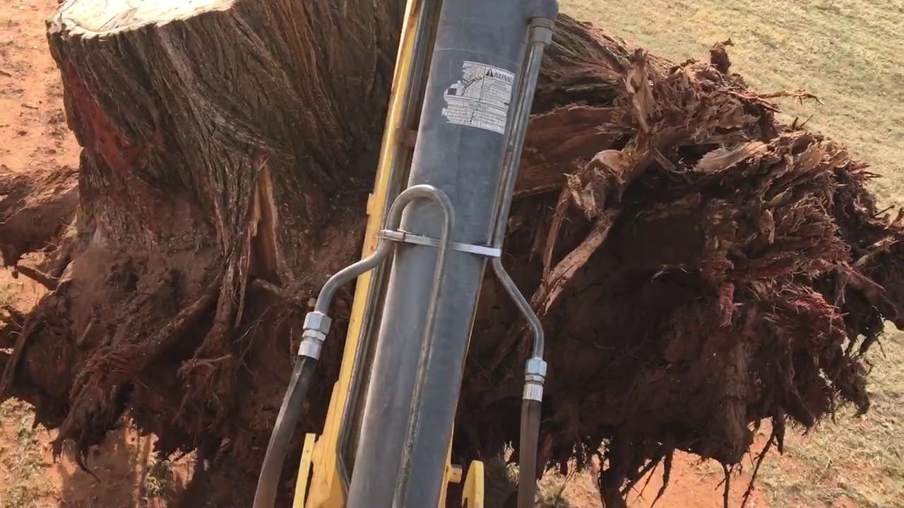 Backhoe moving stump - YouTube