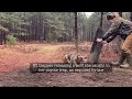 Trapper releasing a wolf from her coyote trap per wi law