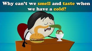 Why can't we Smell or Taste with a Cold? + more videos | #aumsum #kids #science #education #children