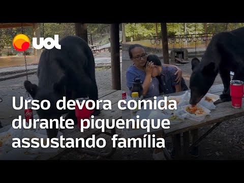 Urso devora comida de família em parque no México; veja o vídeo