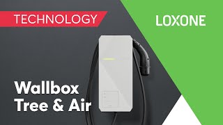 New: Wallbox Tree & Air I 2022 I 4K