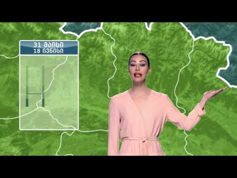 რაგბის ჩემპიონატი