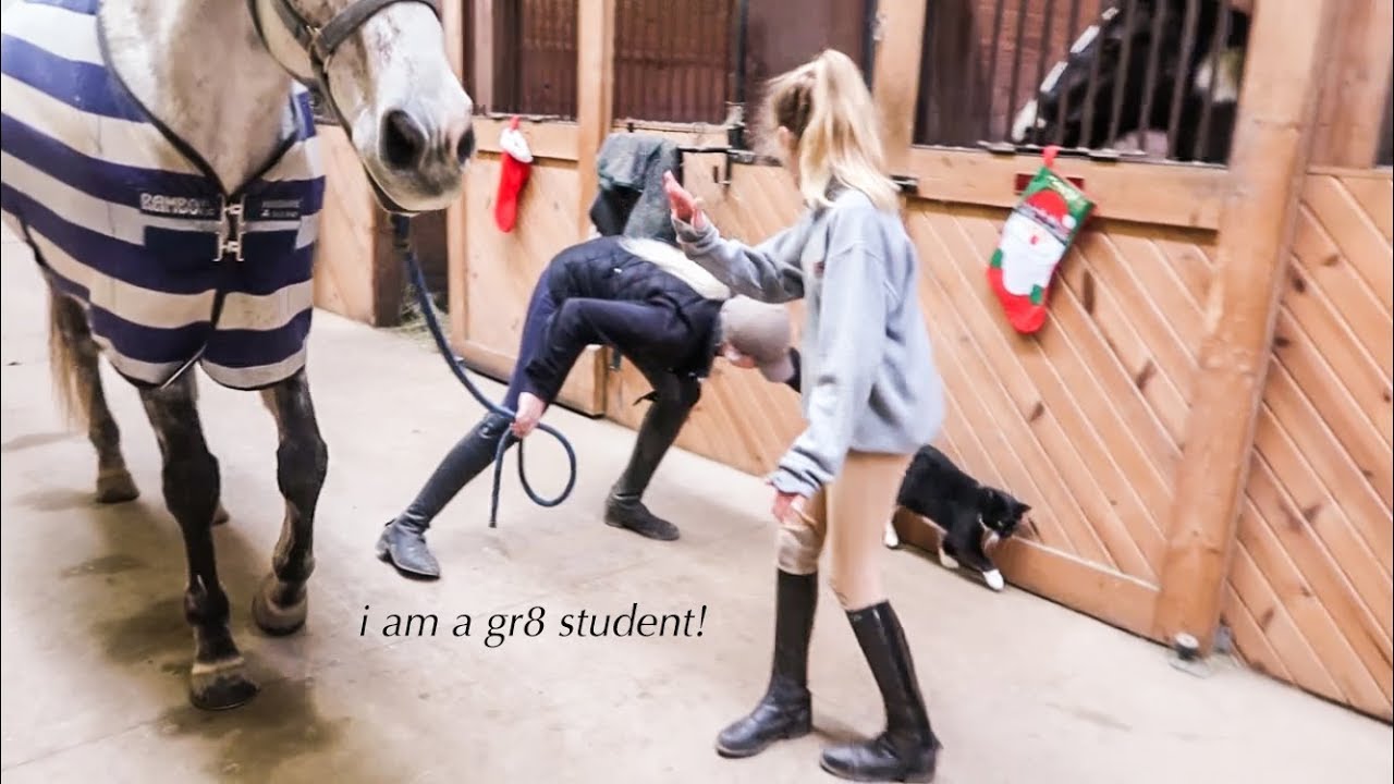 student gives trainer lesson // grooming & tacking up YouTube