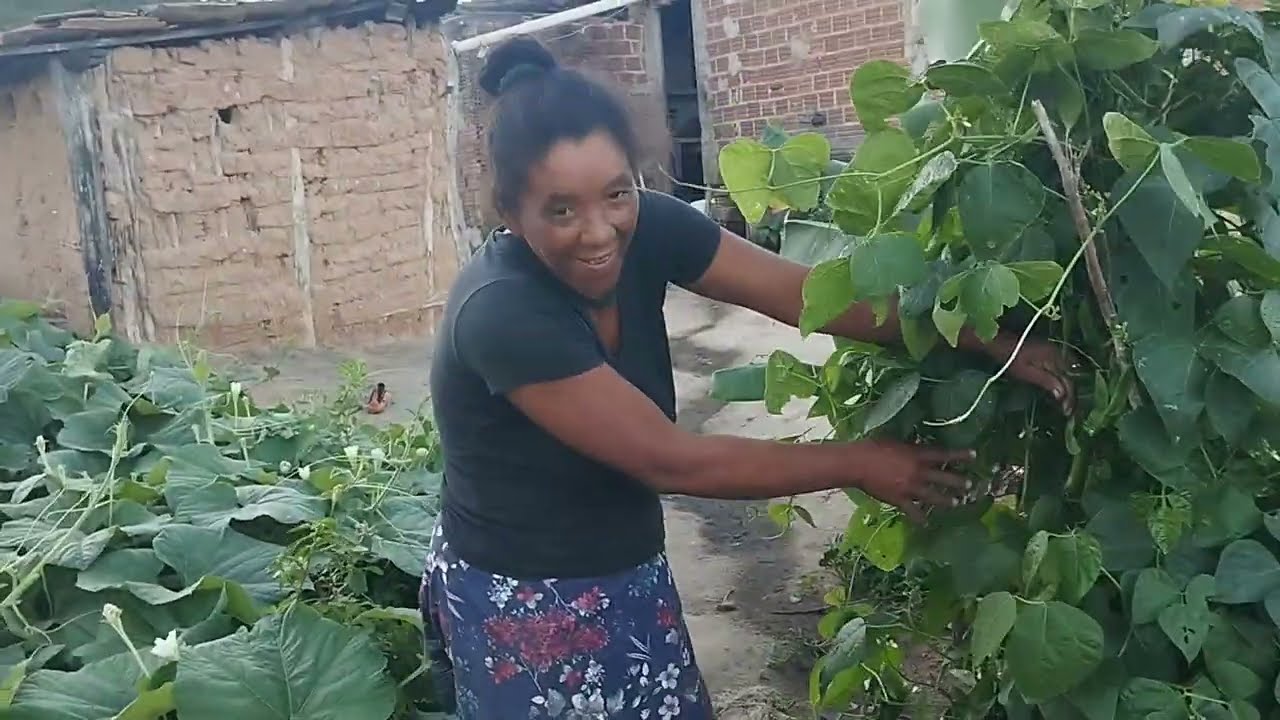 MOSTRANDO A ROÇA DA MINHA TIA COLOR 🌱🫛