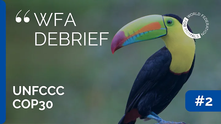 WFA Debrief #2 | COP30 | Key takeaways for animals from UNFCCC COP30