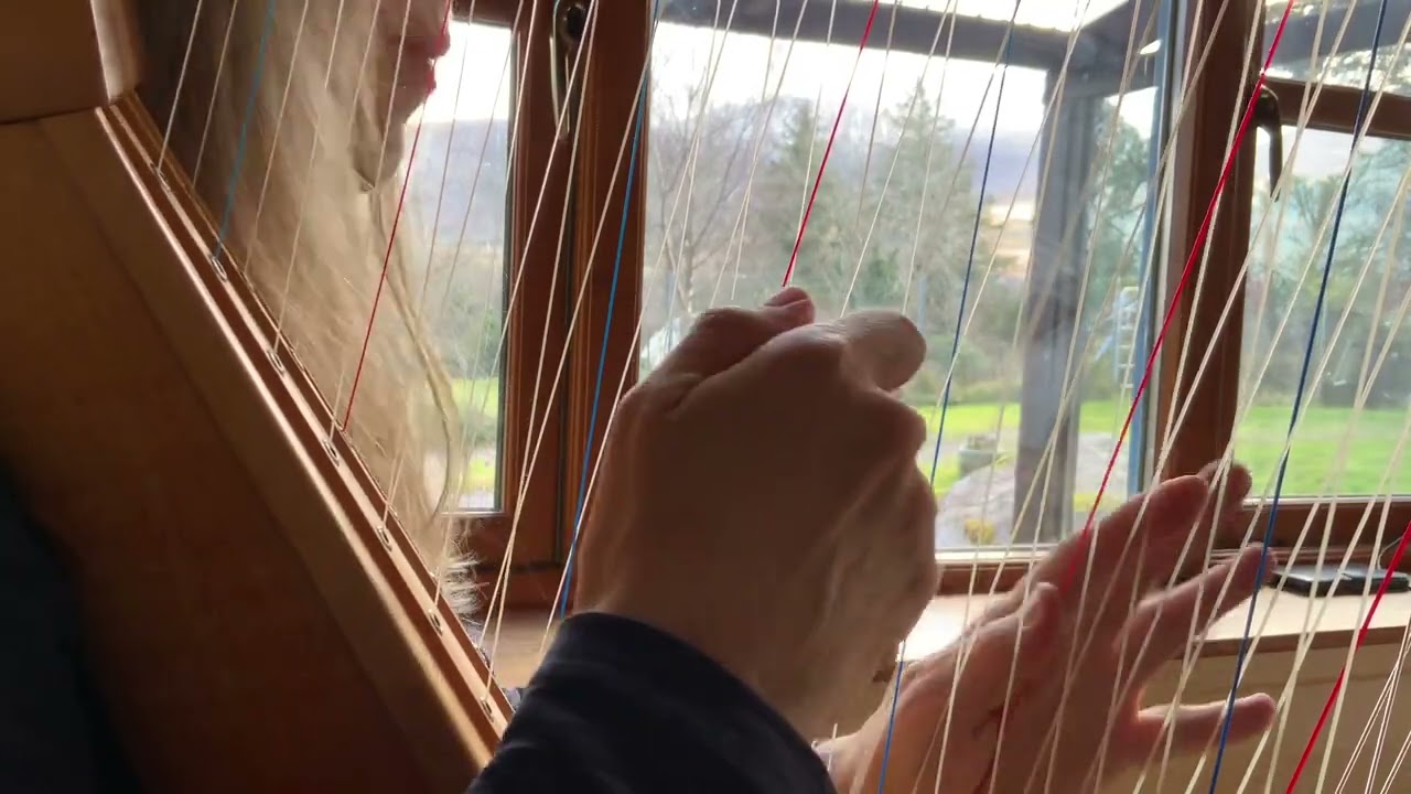 “Dream A Little Dream Of Me” - Happy Valentine’s Day 2026! Chromatic Harp Cover by Reidun