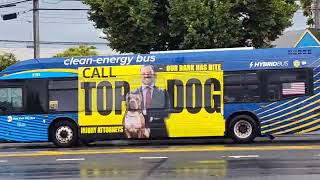 MTA LFS HEV XD40 XD60 XE40 NYC Bus Bx28 Bx30 Bx38 60 61 62 Gun Hill Rd Bronx.