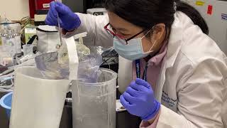 BNEWS Feature: Medical Research at Lahey Hospital & Medical Center