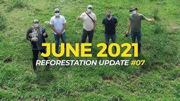 Reforestation in Australia, Costa Rica, and More| Reforestation Updates Episode 7| One Tree Planted