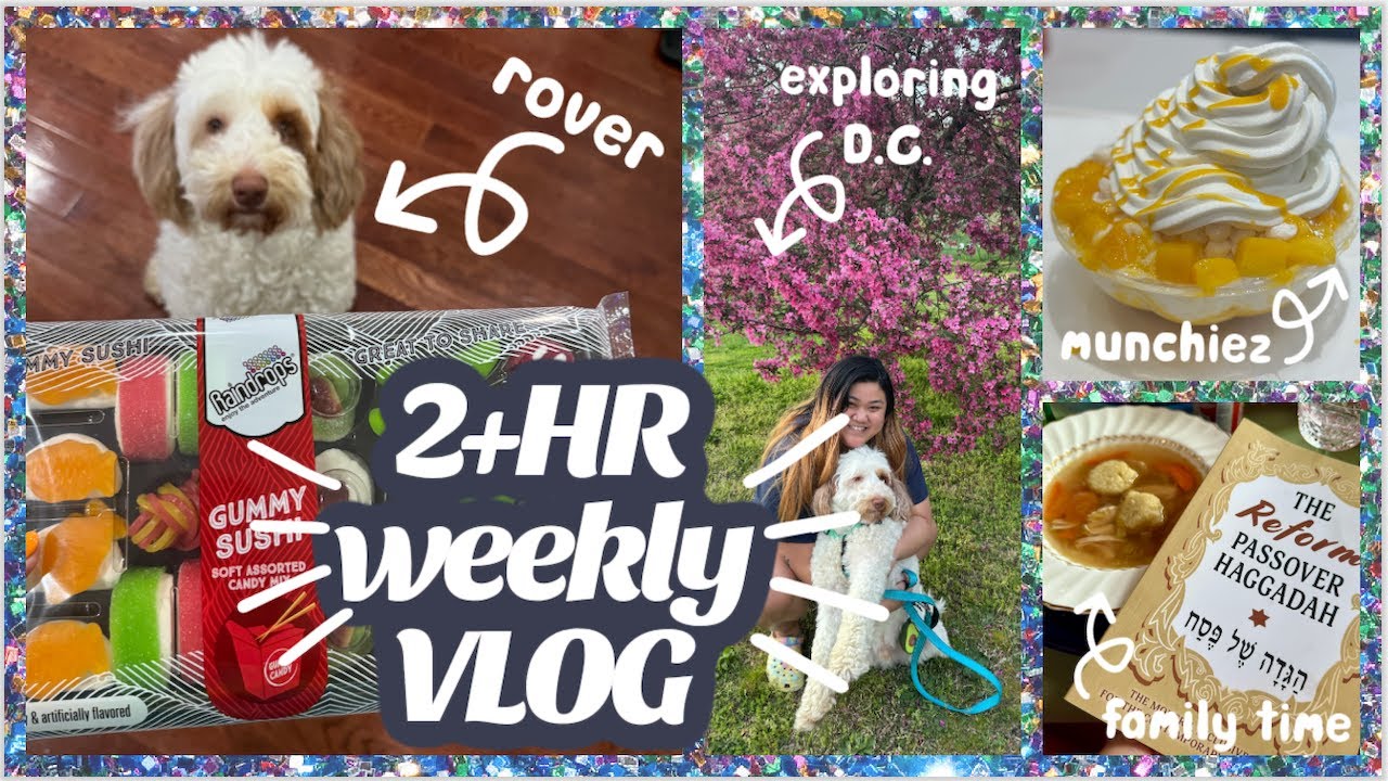 2+ HR WEEKLY VLOG🌟 FUNemployment, Rover, family time, cook/bake with me ...