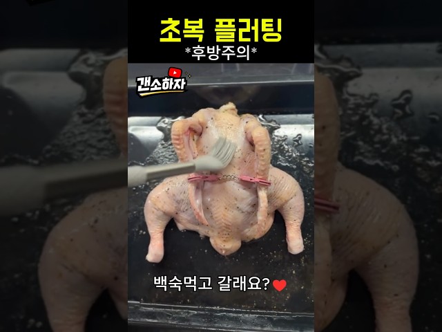 초복 백숙 플러팅 ㅋㅋㅋㅋㅋㅋ #초복 #백숙