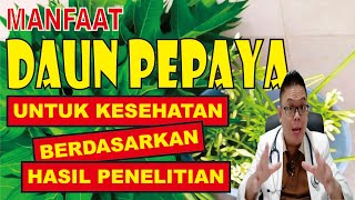 MANFAAT DAUN PEPAYA UNTUK KESEHATAN BERDASARKAN HASIL PENELITIAN DAN CARA MENGOLAHNYA