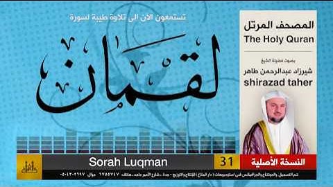 31 | سورة لقمان | شيرزاد عبد الرحمن طاهر | shirazad taher