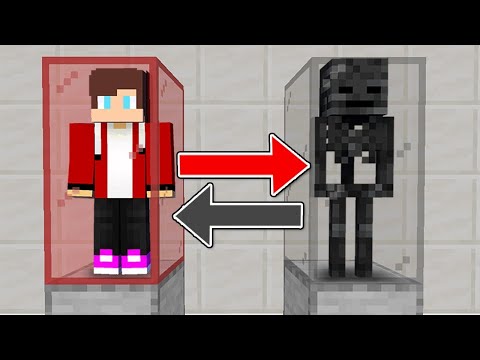BRAIN SWAP: I BECAME A WITHER SKELETON in Minecraft