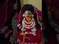 Radhe Radhe Pyaro🙏♥️#thakurji#shortvideo #likesharesubscribe #trendingshorts#shorts #krishan#love♥️🙏