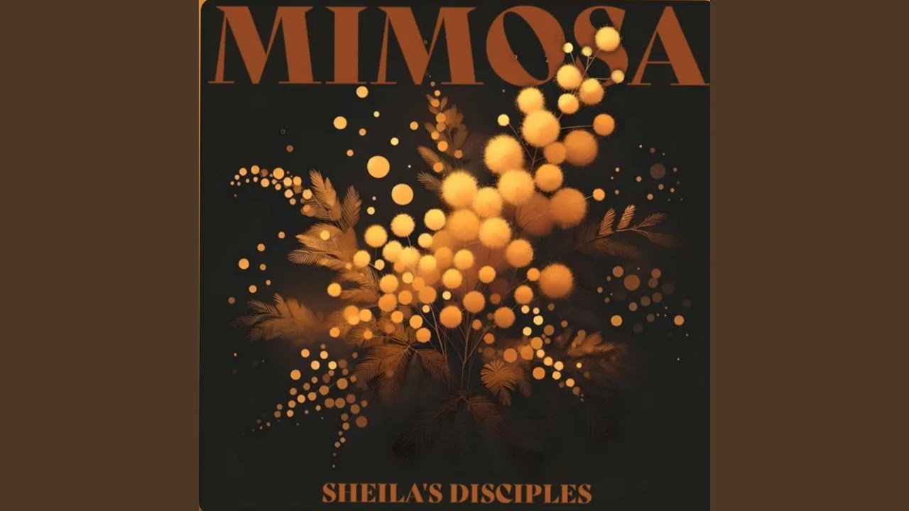 Watch Mimosa on YouTube Watch Mimosa on YouTube