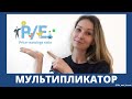 Оценка компании с помощью мультипликатора P/E