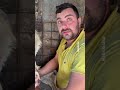 Non cambierei questo lavoro per nulla al mondo