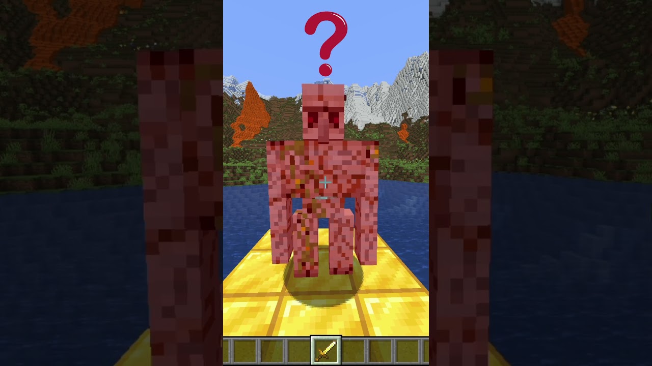 Sword vs Iron Golem                   The last one 😨