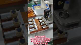 Automatic Membrane Locking Machine for Micro Water Pumps | Precision Automated Assembly by Pinmotor