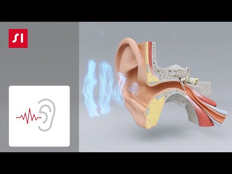 Vidéo: Quel est le sens d'alrick ?