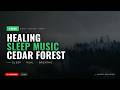 Healing Sleep Music 🌲 1 Hour Japanese Cedar Forest | Calm Music | Mori Sounds