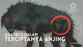 Asal usul Terciptanya Anjing dalam Islam