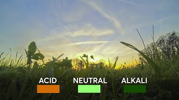 Unearth Soil Science - Soil chemistry