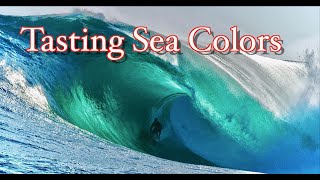 Surfing Symphony Tasting Colours