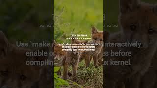 Build a Custom Linux Kernel! | 2025-12-12 | #Shorts #webdevelopmenttips #systemadmintips