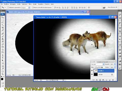 Tutorial Photoshop CS - come ritagliare una foto con dissolvenza Tutorial Photoshop CS - come ritagliare una foto con dissolvenza