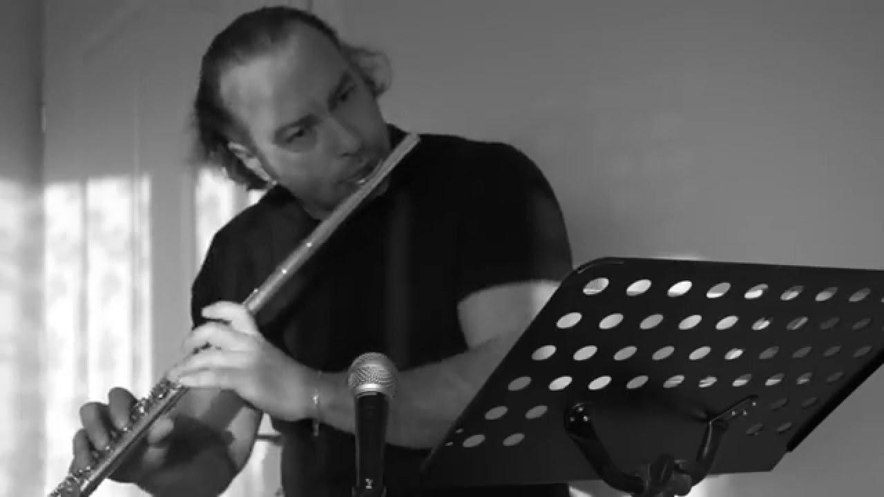 Moonlight Shadow by Flute