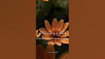 سورة النباء بصوت #رمضان_عوده #explore #اكسبلور