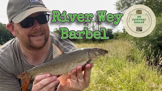First River session - The River Wey - Somerset Bridge - Farnham Angling screenshot 5