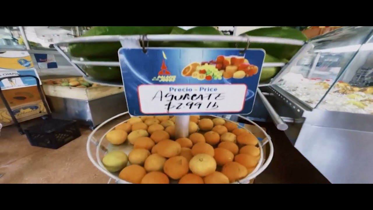 THE JUICE PALACE -  SEIJAZZ