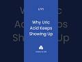High Uric Acid? This Is What It Really Means