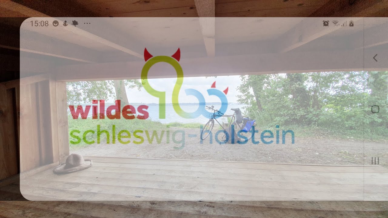 Wildes SH Schleswig-Holstein Wildcampen: 09 Kollunder Wald 1 (Dänemark Kollund Skov/ Südschleswig)