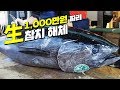 일본 츠키지 시장 생참치 해체, 보고왔습니다. Bluefin Tuna Cutting Show (Tokyo Tsukiji Fish Market, JAPAN) ENG SUB