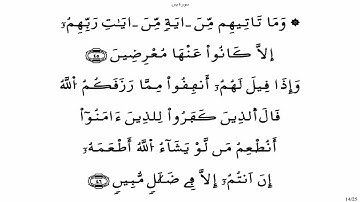 سورة يس - ياسين الجزائري برواية ورش