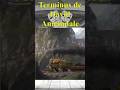 Análisis de relato corto: Terminus #warhammercommunity #warhammerhorror #warhammer