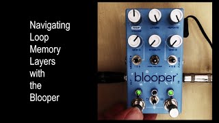 Navigating Loop Memory Layers with the Blooper