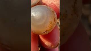 Find natural Gemstone In River, Amethyst, quartz crystal, Agate, Carnelian..,# [Ep 11]
