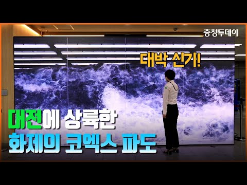 외신이 극찬한 ‘코엑스 파도’ 대전에서 만나봤습니다