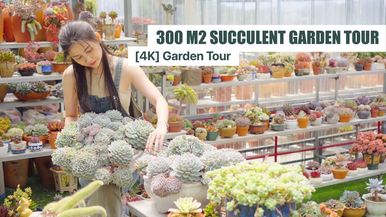 [4K] Garden Tour - 300 m2 Succulent Garden (~3.200ft2) | Garden Tour Ep13