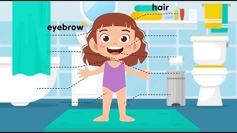 Bé học Tiếng Anh về tên gọi các bộ phận của cơ thể (phần 2) - Body - Chuồn Chuồn TV 💖💖💖